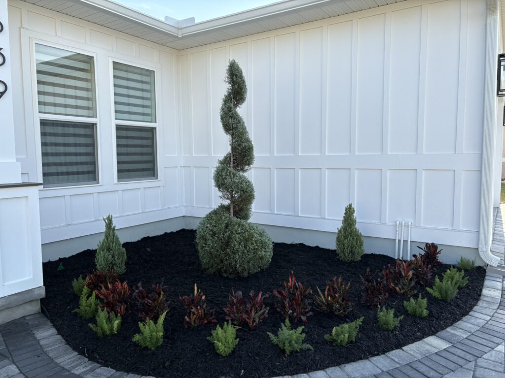 Corner garden bed with spiral topiary and ornamental plants along house foundation