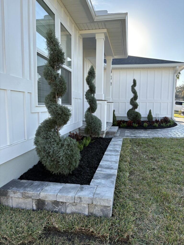 Stone edged landscape bed with spiral topiary and fresh mulch installation