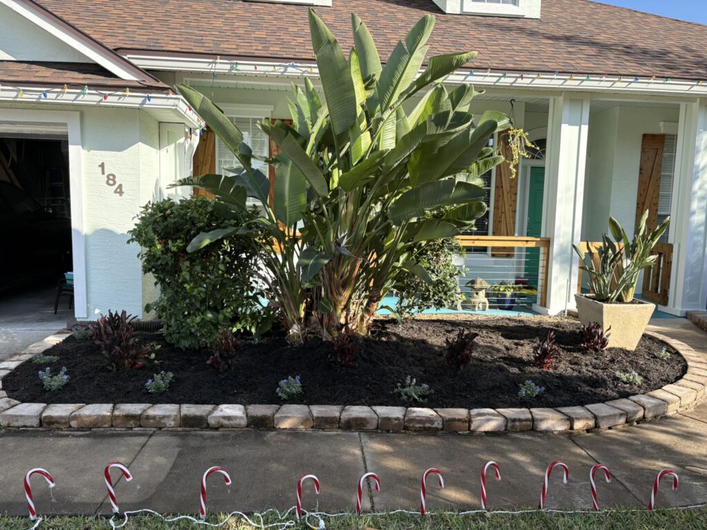 Front yard landscape bed with tropical plants and stone edging in St Augustine Florida