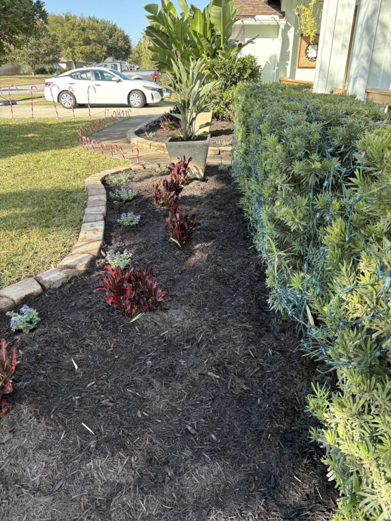 Curved landscape bed with mulch and ornamental plants along walkway