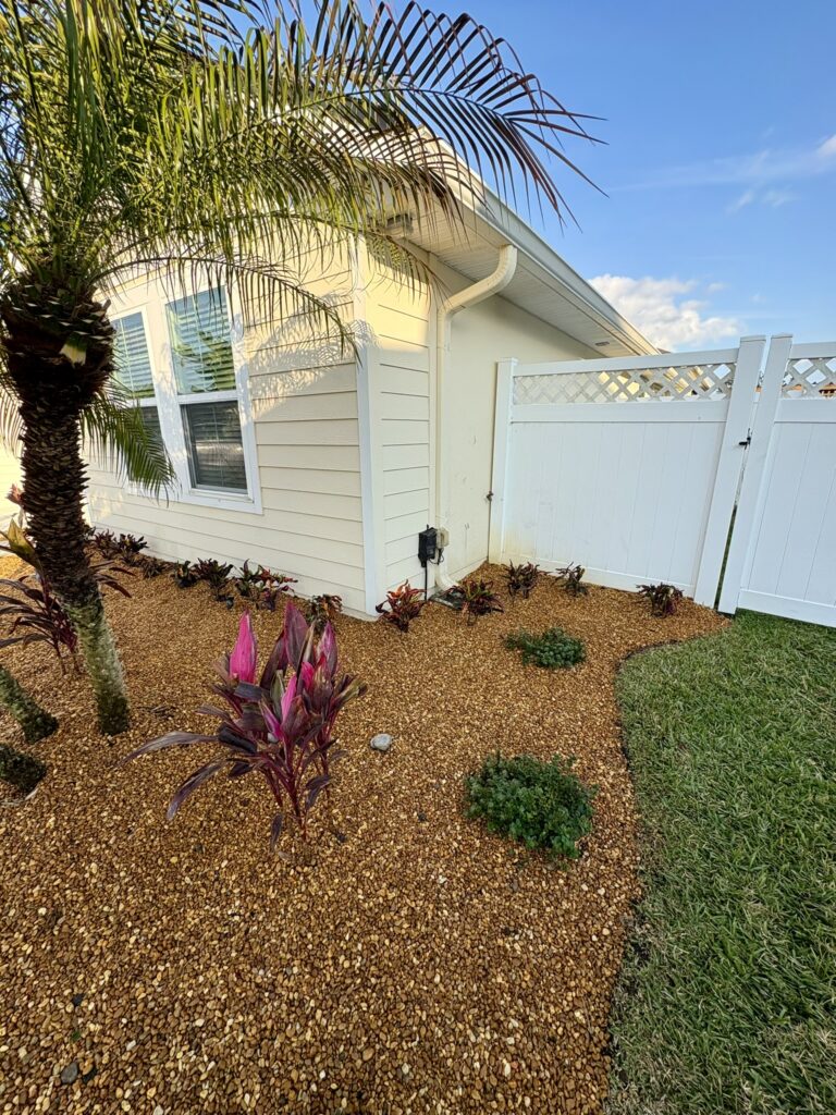 Side yard landscape design with palm tree, rock mulch, and colorful plants