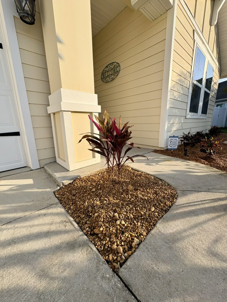 Entry walkway landscape bed with ornamental plant and decorative rock mulch