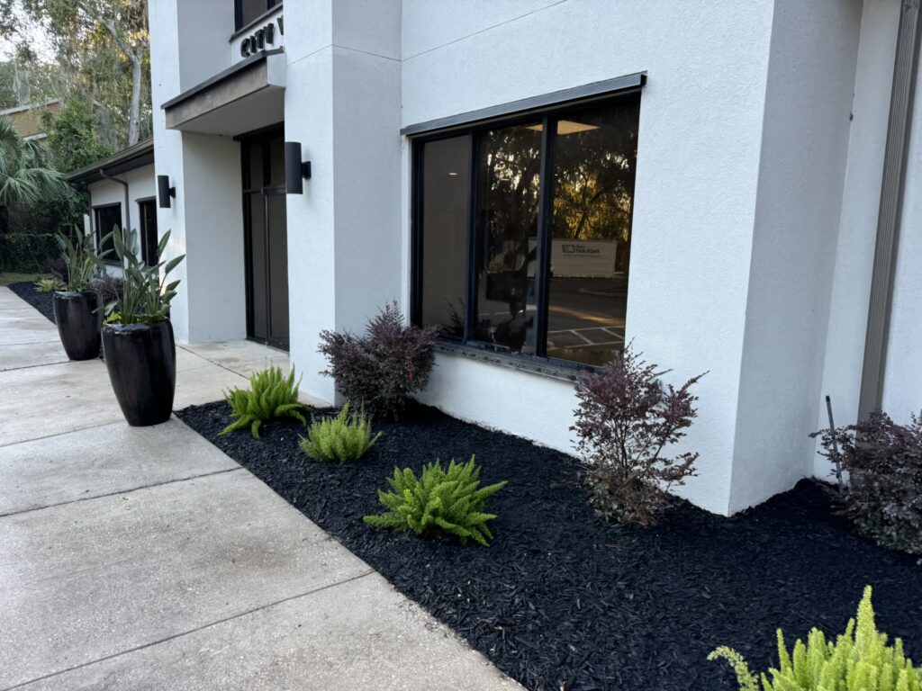 Commercial landscape bed with black mulch and ornamental plants along building walkway