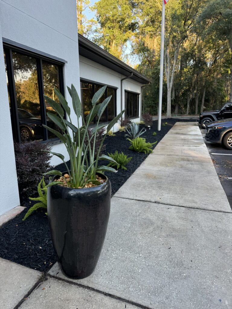 Decorative planter and landscape bed along commercial building walkway
