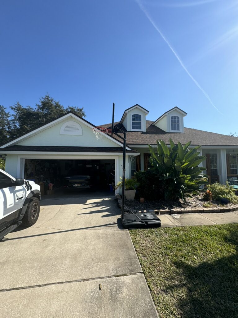 Driveway landscape view with curved garden bed and tropical plants