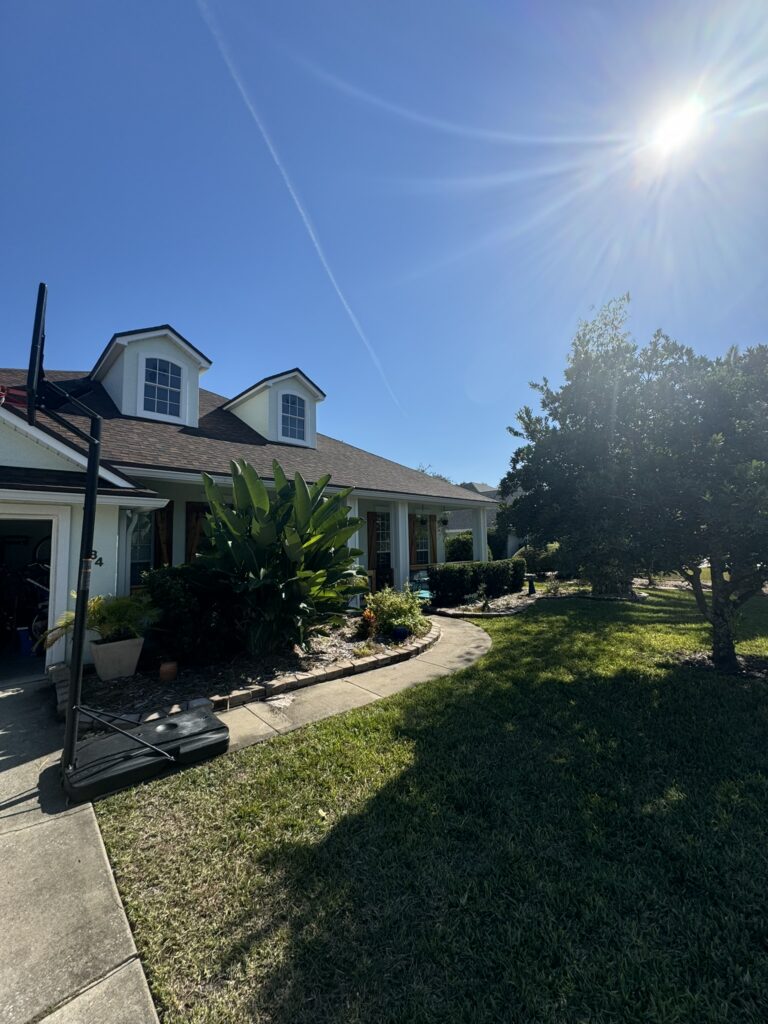 Front yard landscape with curved stone border and tropical plantings near driveway
